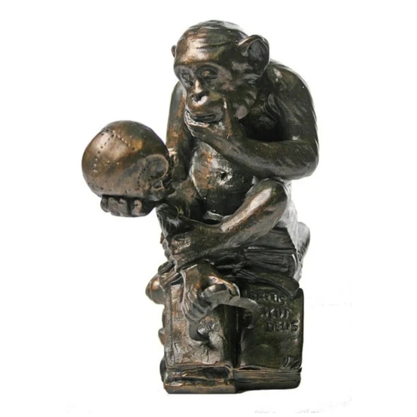 Monkey Skull Darwin Statue Ape By Rheinhold Statue Philosophizing