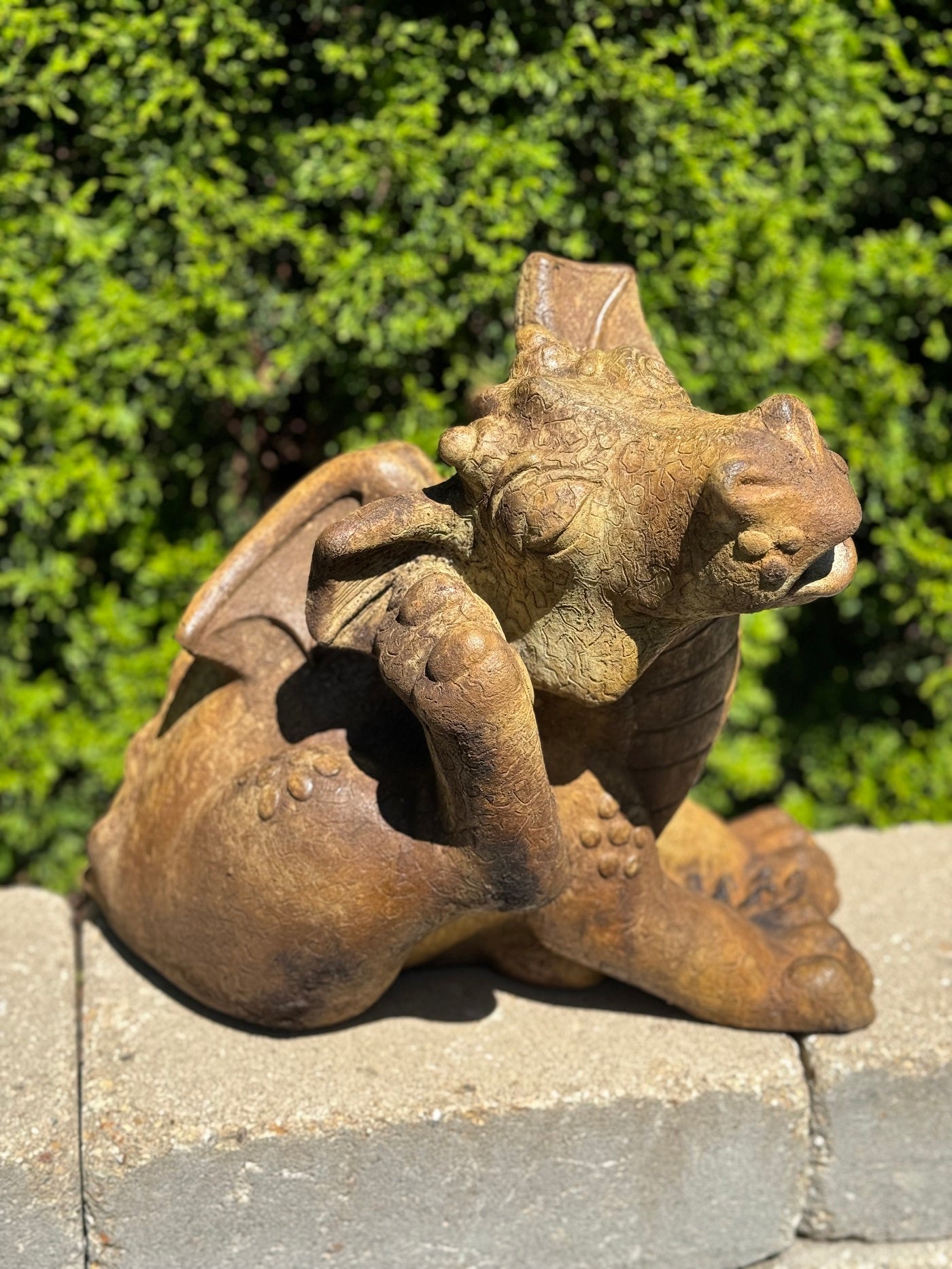 Whimsical winged dragon with an itchy ear