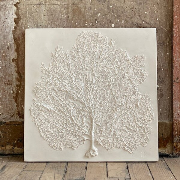 Sea Fan Wall Plaque plaster Cast hanging antique specimen gorgonian