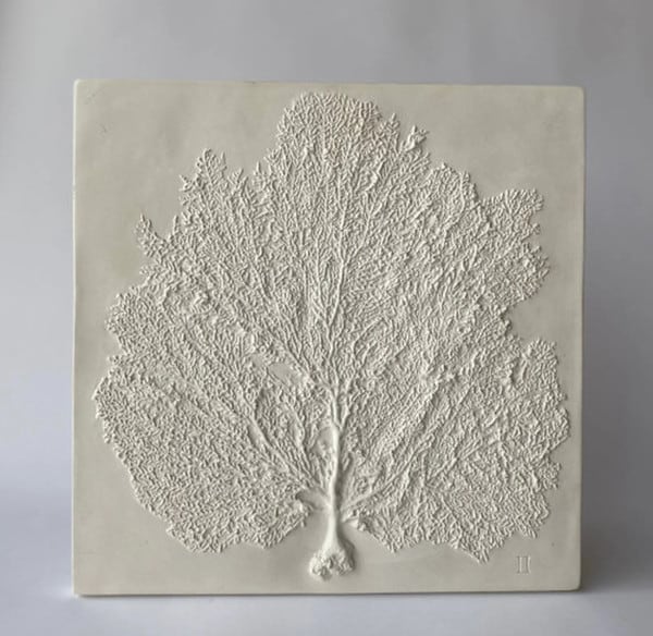 Sea Fan II Wall Plaque Plaster coral reefs replica reproduction sculpture