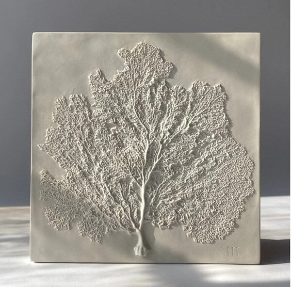 Sea Fan III Wall Plaque Hanging Made of Plaster Sculpture High Relief
