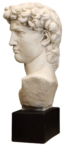 Plaster Sculpture Head Decorative David Bust By Michelangelo Statue