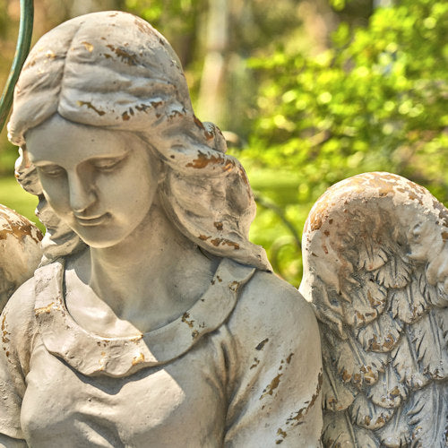 Close Up of Face Tall Sitting Angel Statue Reading Book captures a moment of celestial reflection and timeless grace