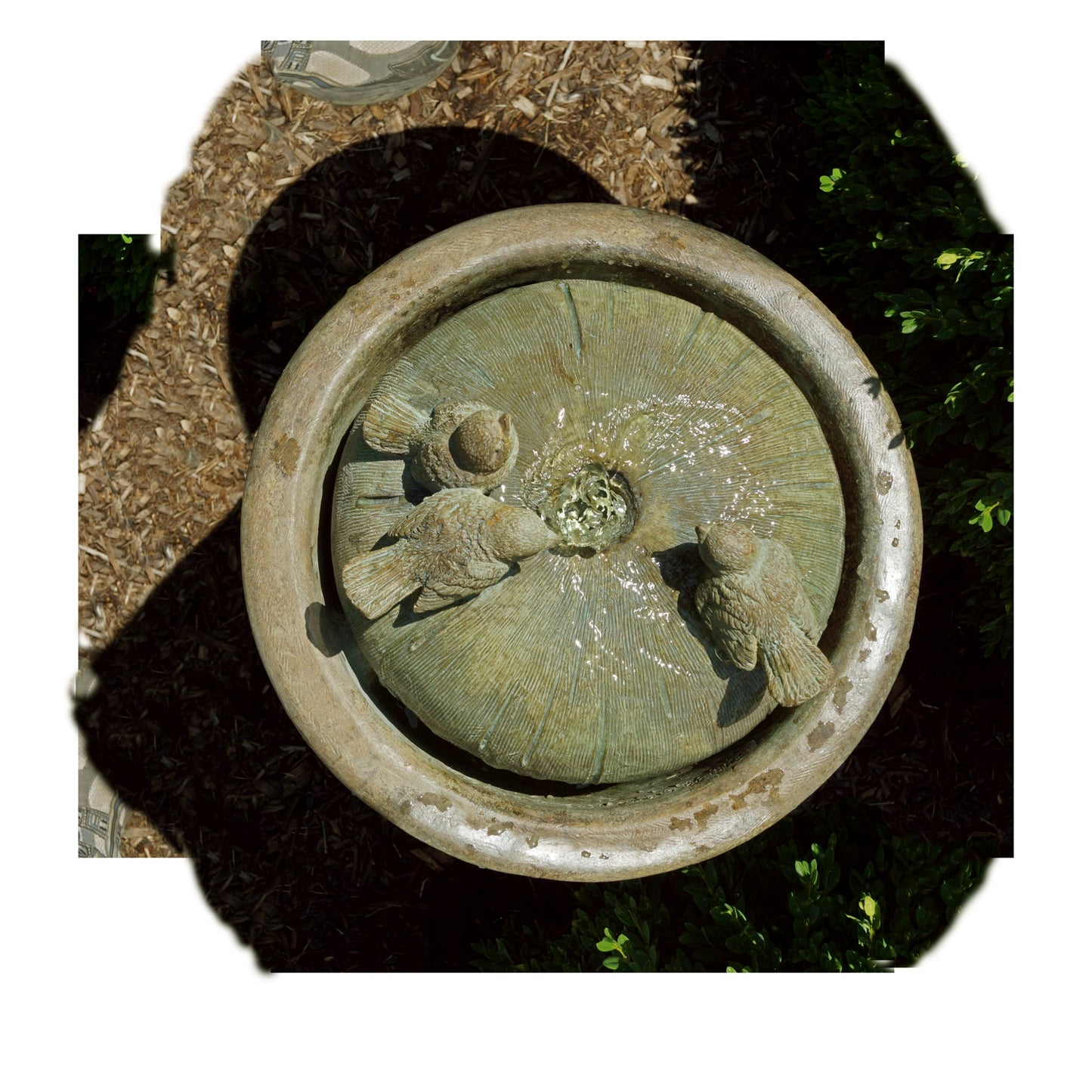 garden fountain with birds and illuminated bubbling top bathing songbirds