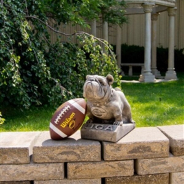 UGA "Bulldog" College Mascot with football for scale Georgia Bulldog statue for fans and alumni statue
