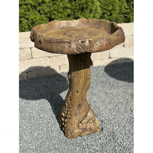 Top view Wildwood bird bath blends beautifully in your garden natural landscape