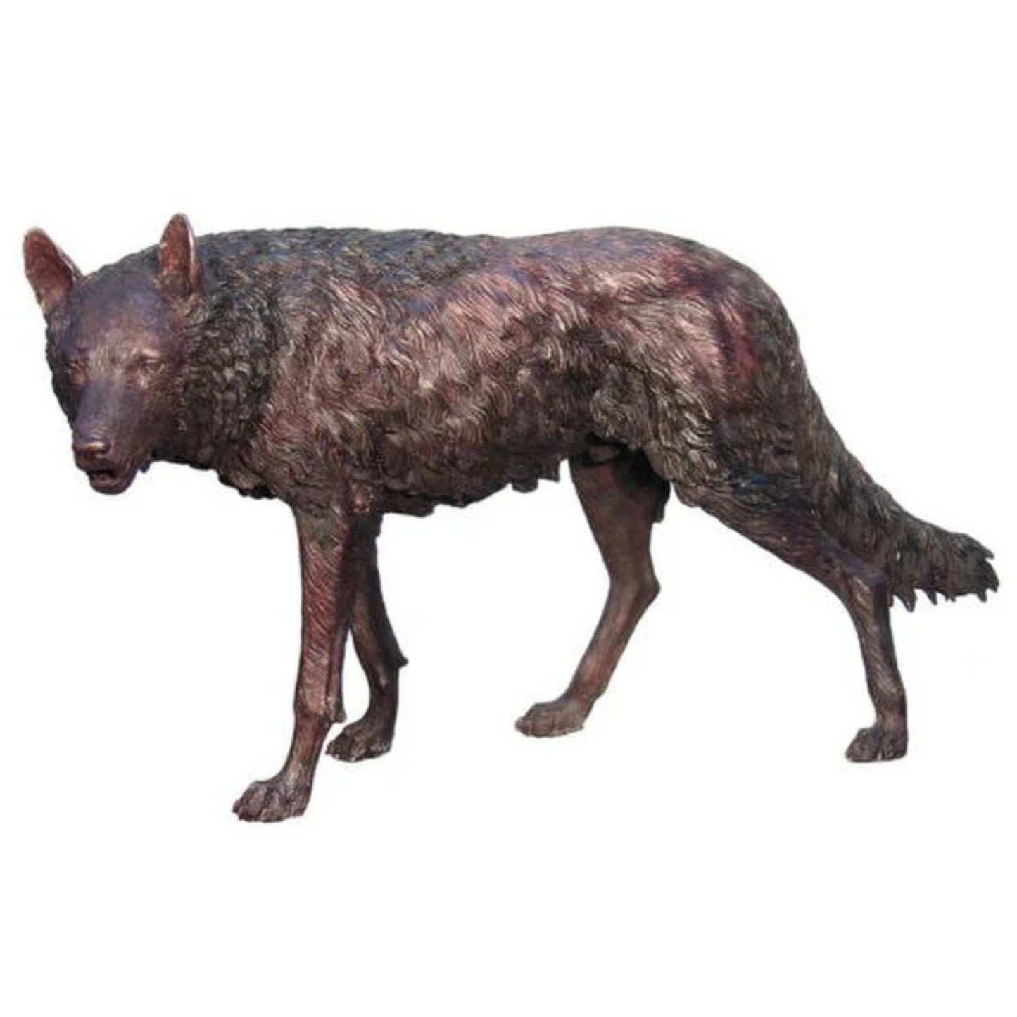 Realistically detailed life-size bronze wolf statue adds a powerful wildlife presence to any garden, lodge, or public space.