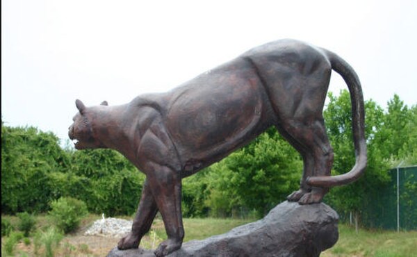 Statues Lioness Climbing Rock School Mascots Lions Rock Bronze Art
