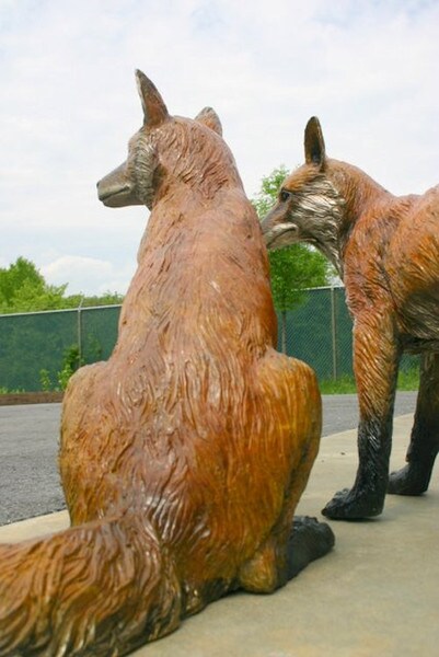 Fox sculptures image showcases two back view of statues realistic wildlife