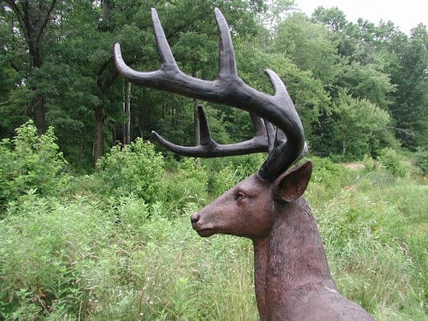 Close up of Antlers American White Tailed Deer Bronze Sculpture Life Size Statue