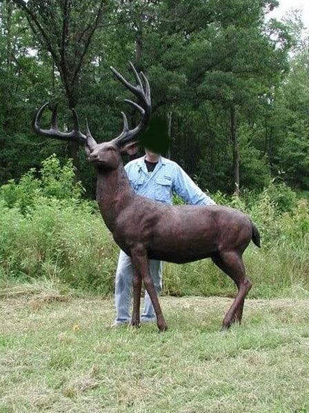 Person Size Comparison American White Tailed Deer Bronze Sculpture Life Size Statue