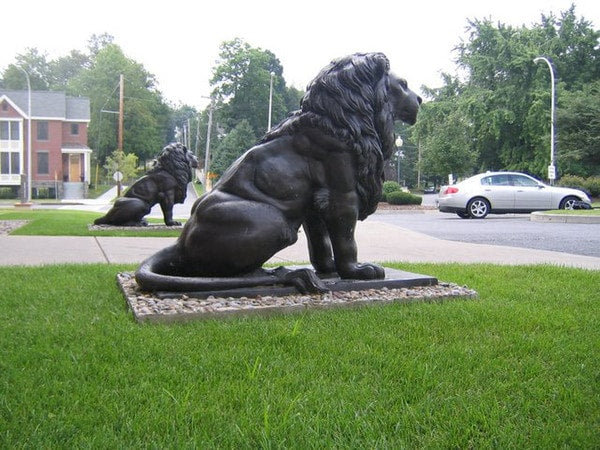 These magnificent lions bring a sense of majesty and sophistication to libraries