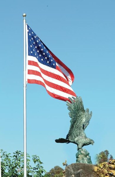 Bronze Eagle of Freedom Sculpture Giant Large Statue Wings Bald