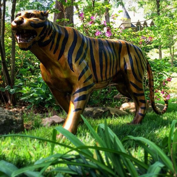 Tiger Life Size Bronze Sculpture
