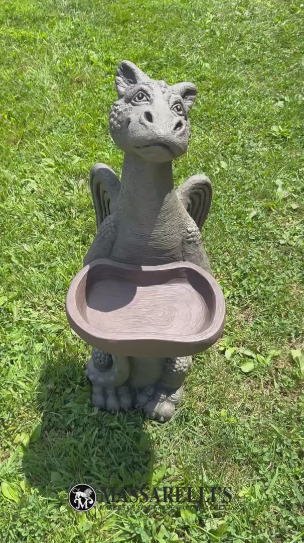Video Add a Touch of Whimsy with the Grinsey Dragon Bird Bath viewed  from all sides