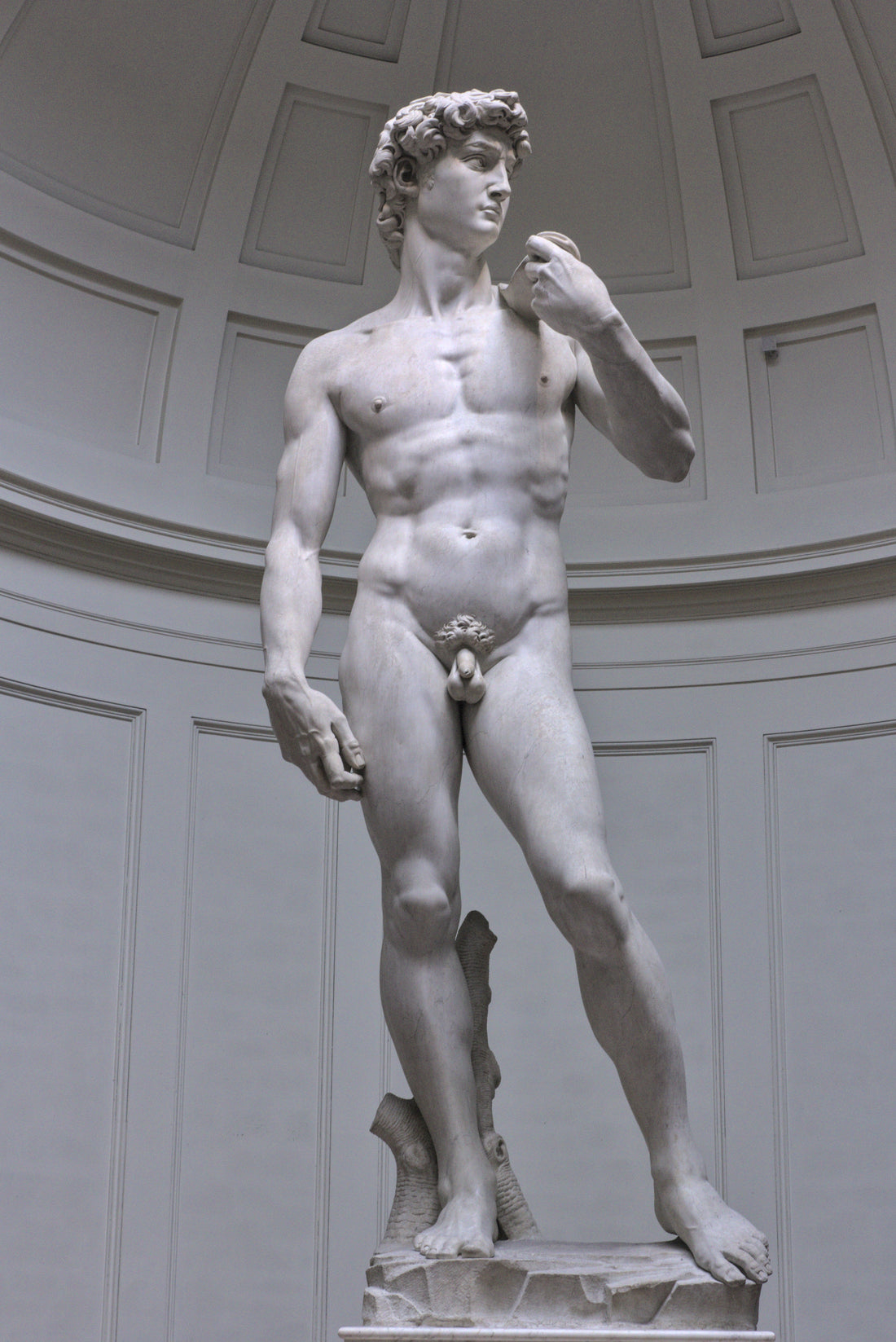 The David by Michelangelo, the full sculpture, in all its glory.   White marble, on a white background, inside the building the statue currently resides in.