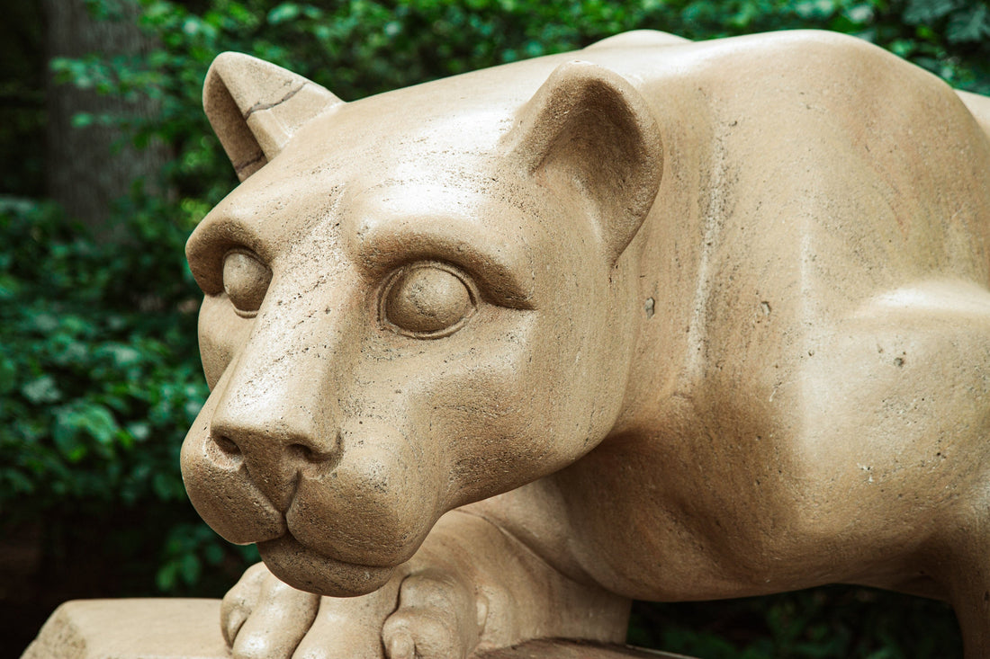 The Nittany Lion, close up, fierce eye.  The stance is crouched, ready to pounce.