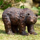 Bears