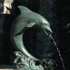 Dolphins, Seals, Whales & Sharks