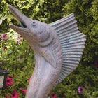 Fish, Octopus & Other Aquatics