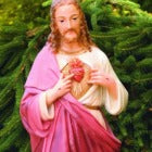 Jesus Christ Sacred Heart