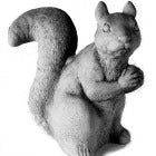 Squirrels Chipmunks and Raccoons