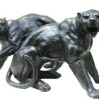 Lions, Tiger & Wildcats