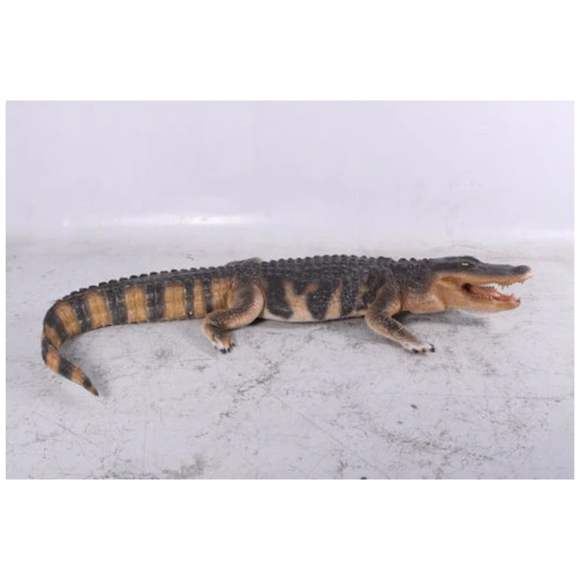 Display Statues American Alligator Life Size Statuary Realistic Prop - side view of the alligator