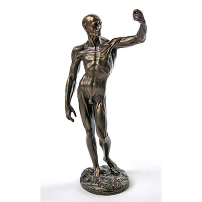Anatomical Study Of Flayed Male L'ecorch