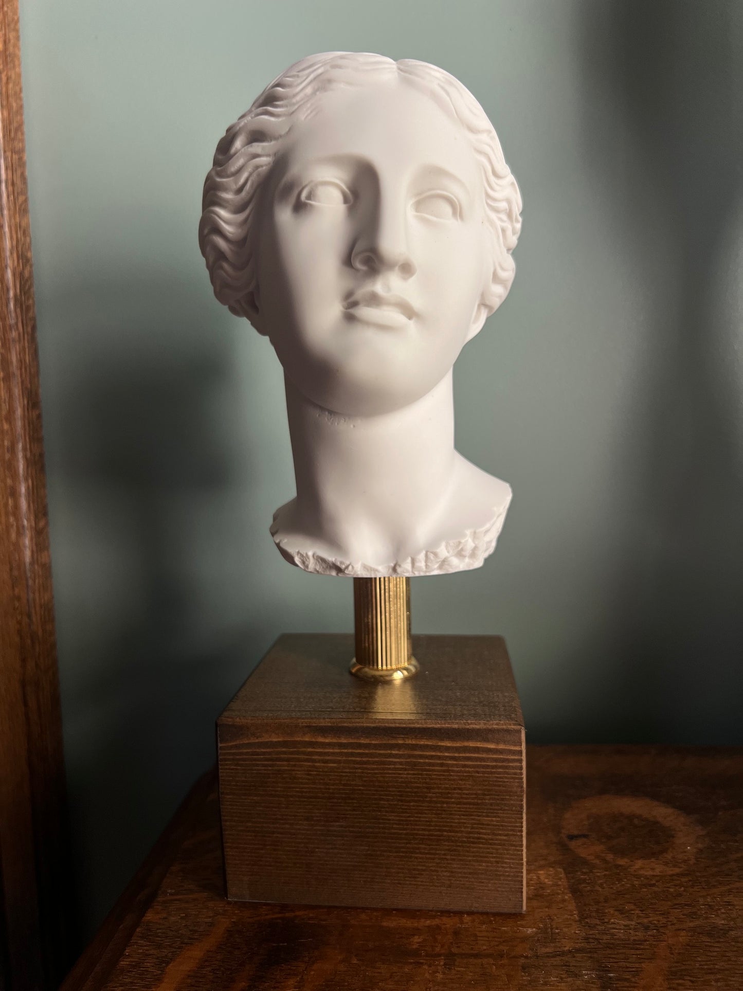 Aphrodite Venus de Milo Roman Goddess Bust Marble Head Greek 