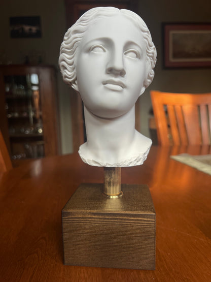 Aphrodite museum quality reproduction statue head bust of Venus de Milo
