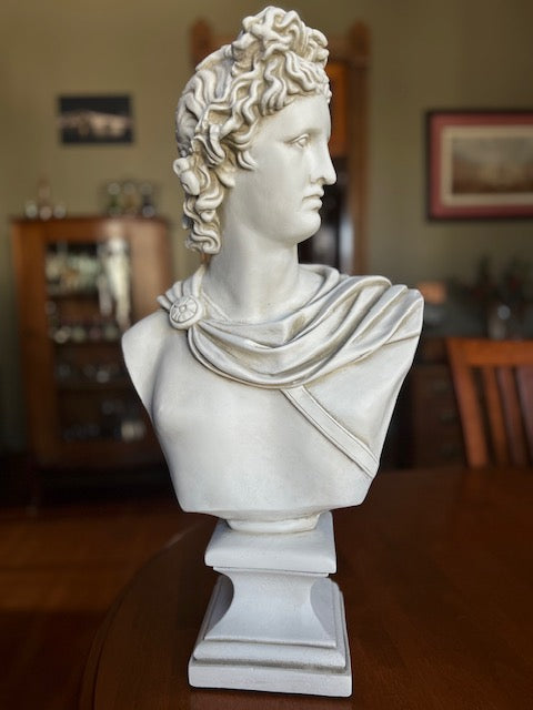 Apollo bust one of the most revered gods in Greek and Roman mythology