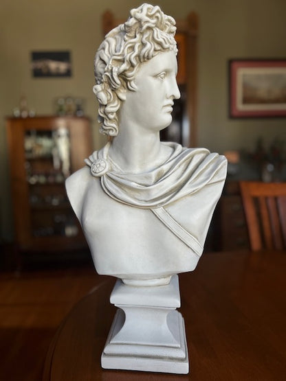 Apollo bust one of the most revered gods in Greek and Roman mythology