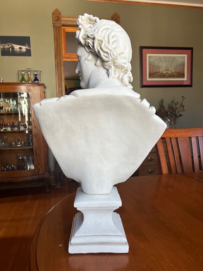 Apollo Belvedere Bust Sculpture Large Scale Head of Greek and Roman mythology