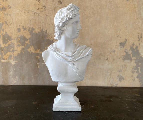 Apollo Classical Plaster Bust Greek and Roman Sculpture 