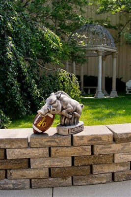 Arkansas Razorback college mascot statue with football sculpture