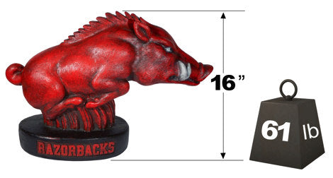Arkansas Razorback college mascot statue showing size and weight