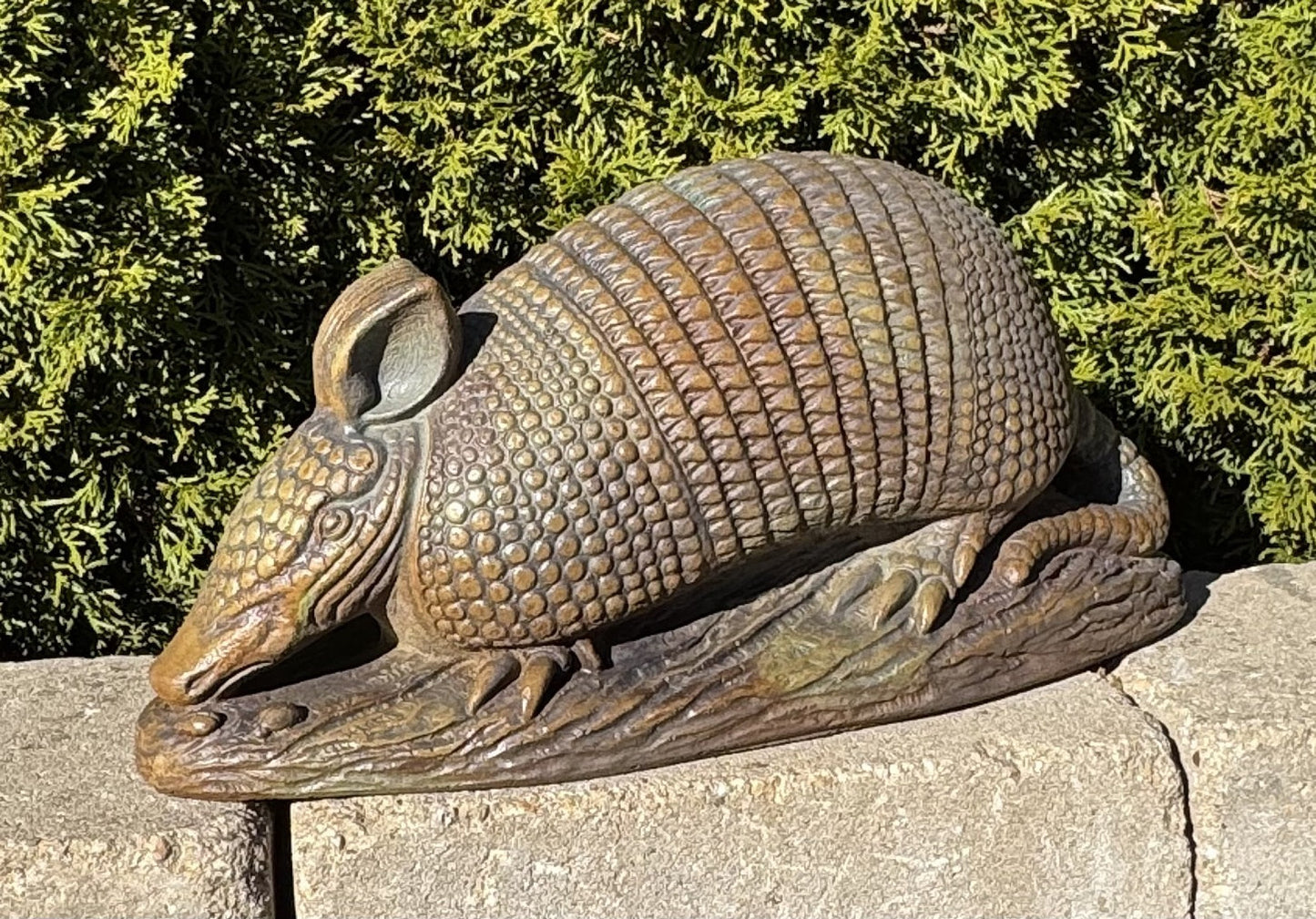 Cement Armadillo Garden Sculpture Life Size Statue Cement