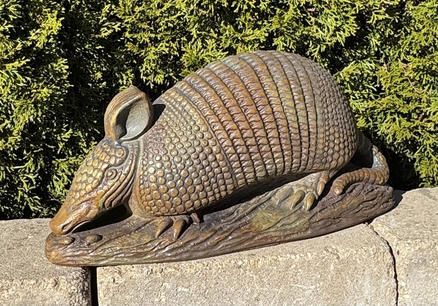 Cement Armadillo Garden Sculpture Life Size Statue Cement