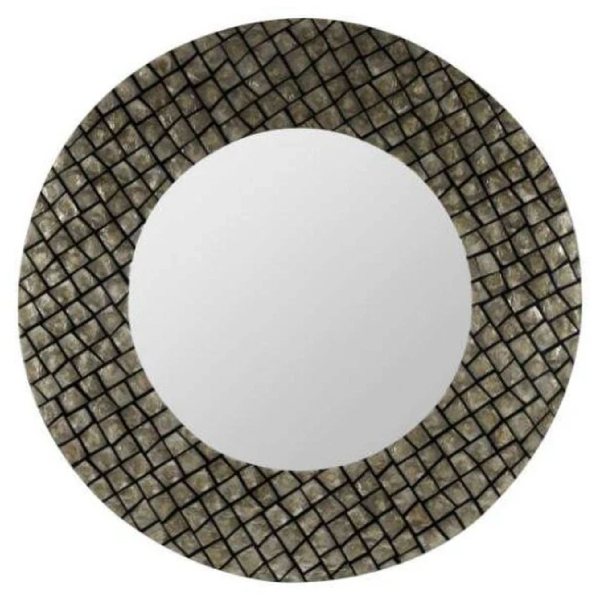 Ava Mirror Re-purposed Sea Shells Champagne and Black Finish