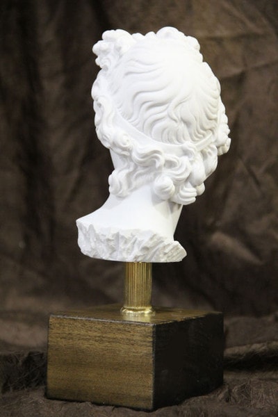 Head of Apollo Belvedere on Base Bust Sculpture Back View Artwork