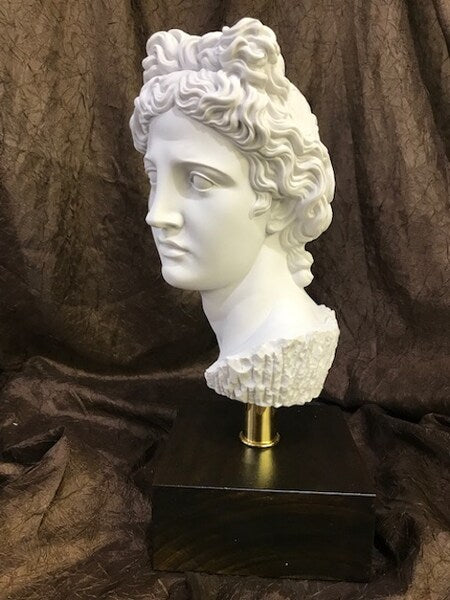 Head Apollo Belvedere on Base Bust Statue Marble Wood Base