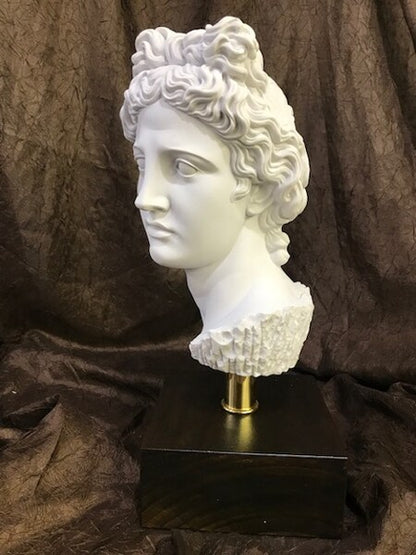 Head Apollo Belvedere on Base Bust Statue Marble Wood Base