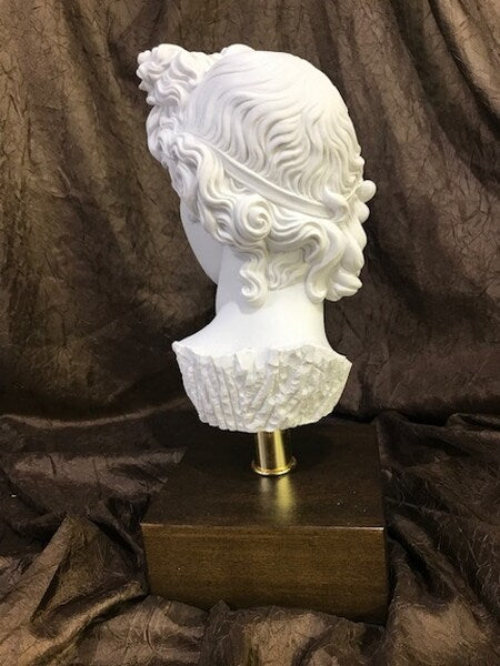 Apollo Belvedere on Base Bust Statue Sculptural Head Wood Base Back