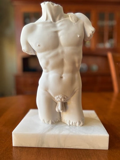 male nude David torso sculpture marble Michelangelo study statue body