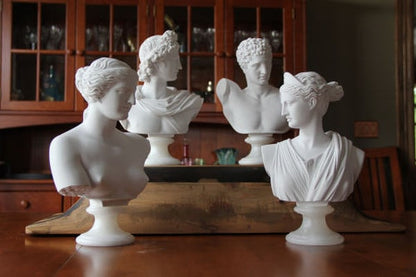 Greeks Roman bust statues Sculptural Busts Venus Hermes Apollo Heads