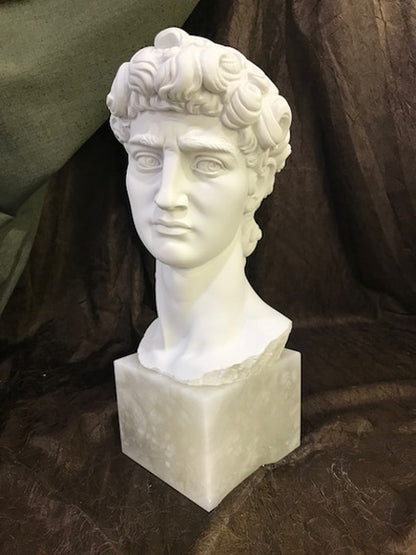 David Bust Sculptural Portrait Marble by Michelangelo imported Italy
