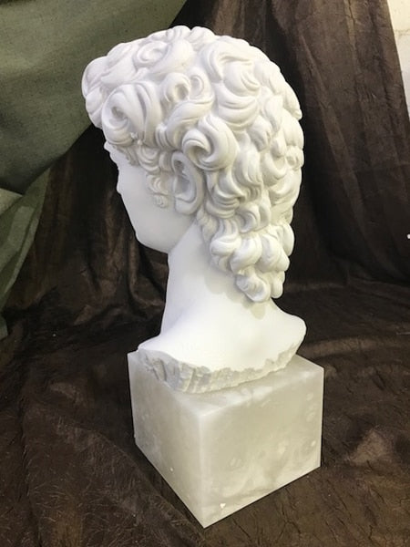 David Bust Sculpture Portrait Marble by Michelangelo Back View