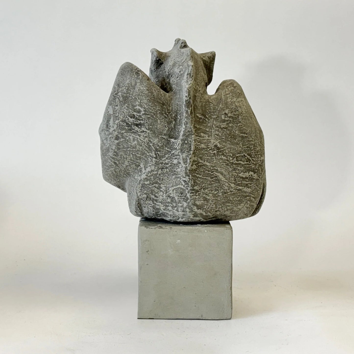 Stone sculpture of a dragon on a white background back of statue gargoyle