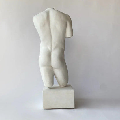 Back view of statue Male Torso Greek and Roman Sculpture